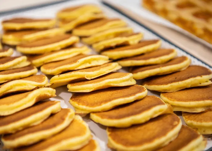 酒店 帕洛斯酒店 3*